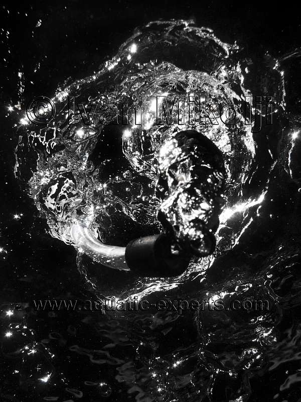 AIREACION de peceras de agua dulce